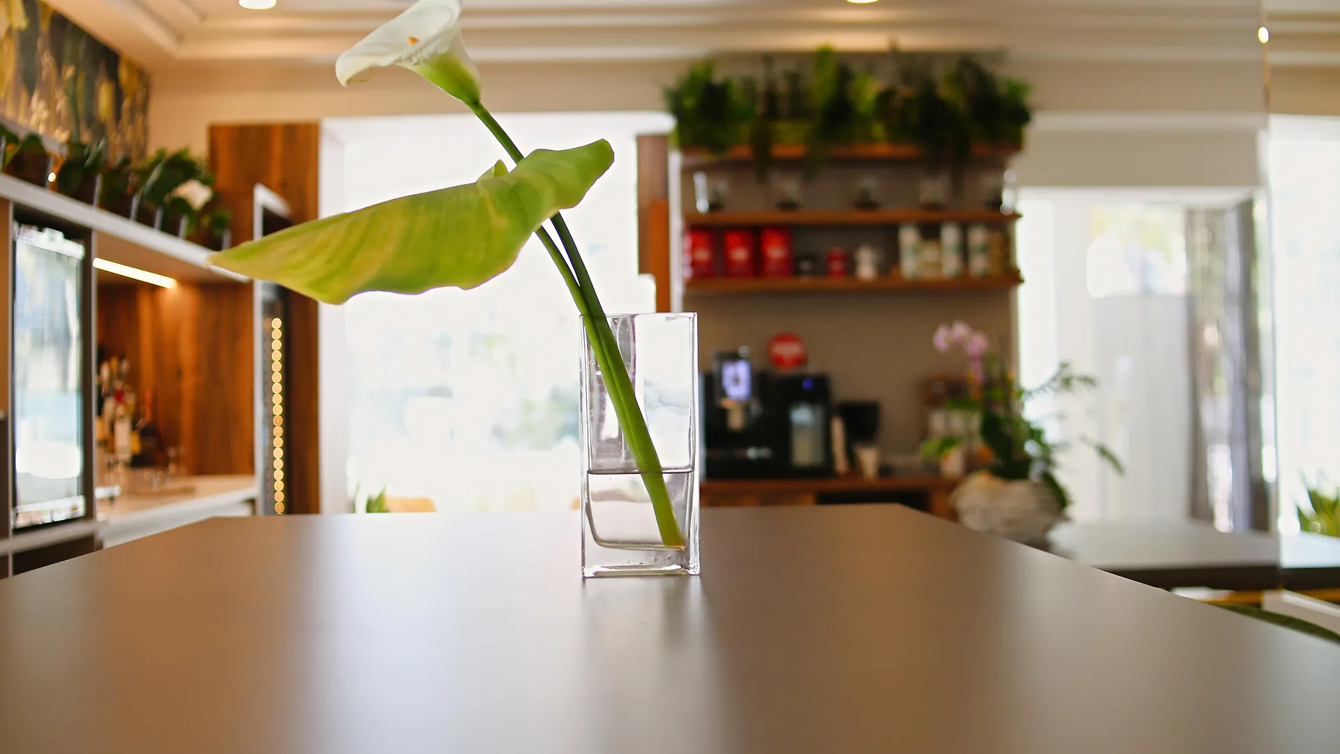 Hotel Select Suites & Spa - Apartments リッチョーネ 4*,  イタリア