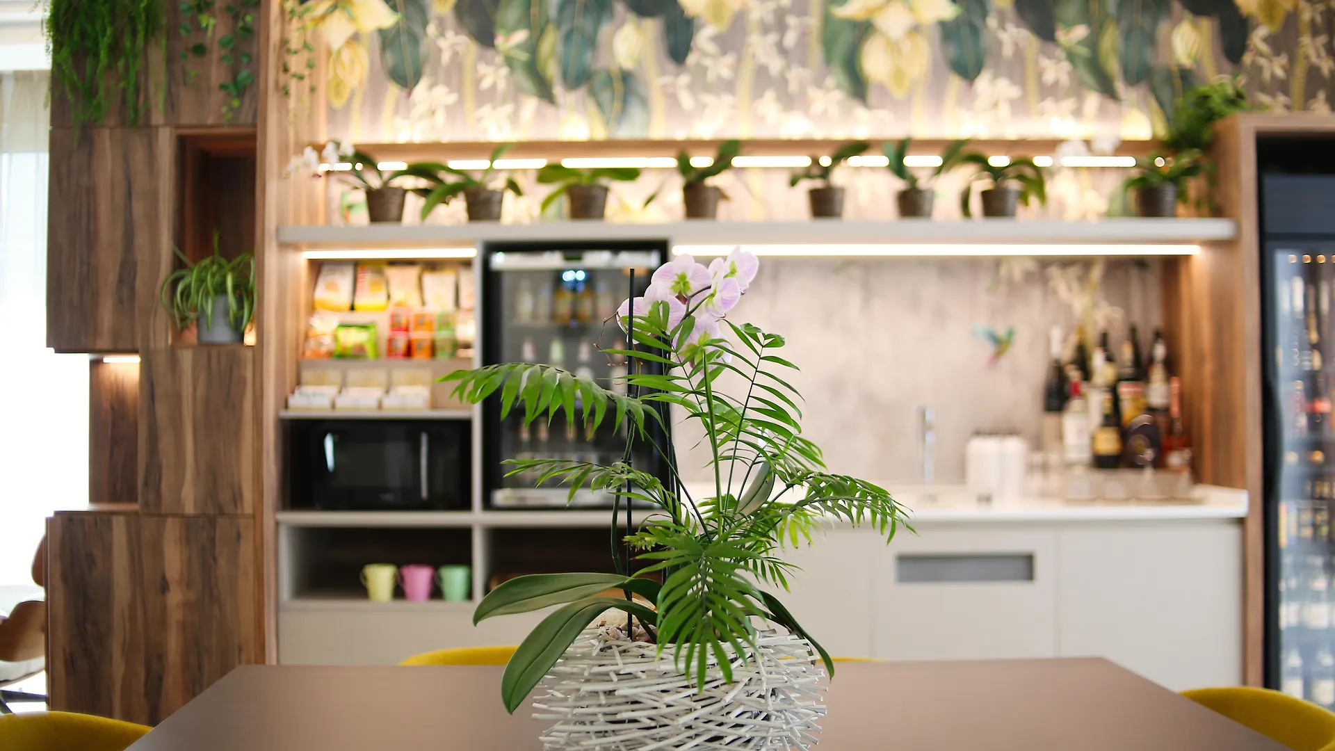 Hotel Select Suites & Spa - Apartments リッチョーネ イタリア